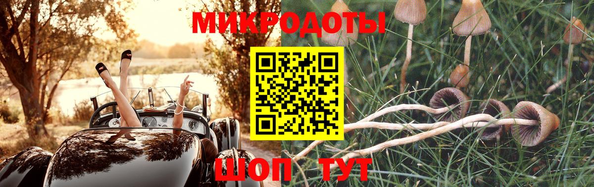 Брянск  Псилоцибиновые грибы MAGIC MUSHROOMS  наркота  Вход с VPN 